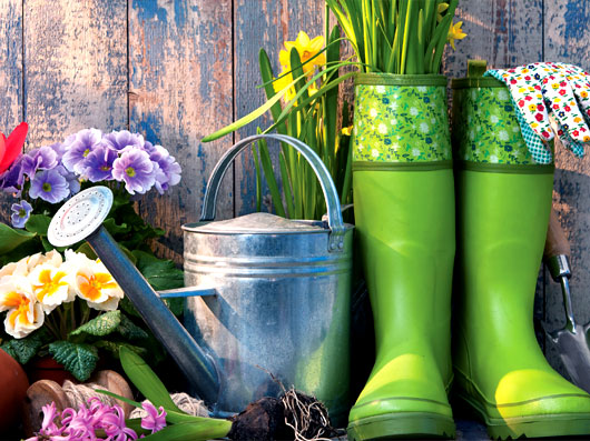 خانه‌هایتان را با گیاهان،   بهاری کنید