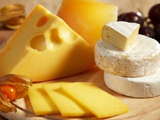 همه چیز پیرامون پنیر (1)