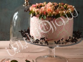 تزئین کیک با ایربراش و استنسیل