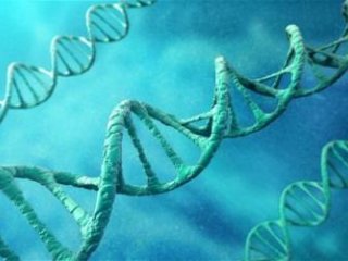 تاثير عمل جراحی مادر بر DNA نسل بعد